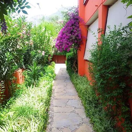 Yonca Fethiye