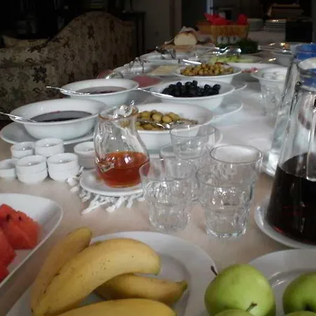 Yonca 4*