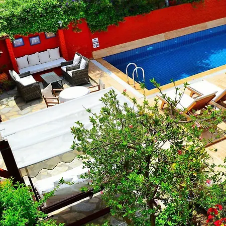 Yonca 4*